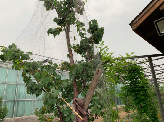 1592200531418057.png image.png