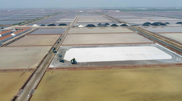 味之源 鲁之盐 鲁盐集团媒体行成功举办