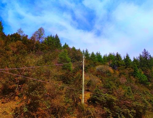 嘉盛公司：提升经营水平，服务阿坝电网建设