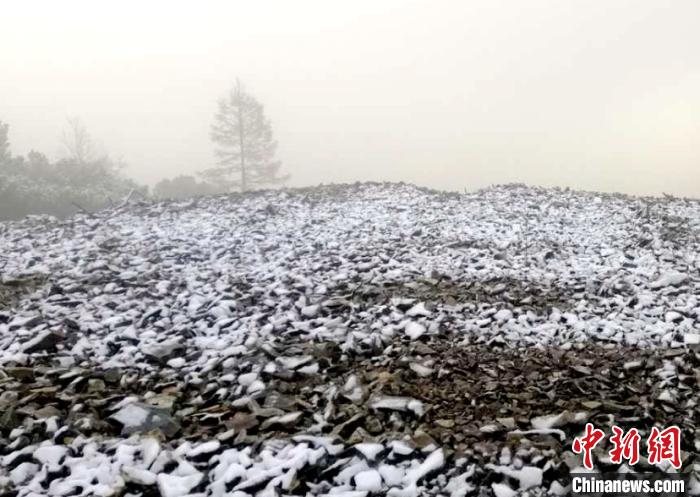 “中国最冷小镇”迎来今年首场降雪
