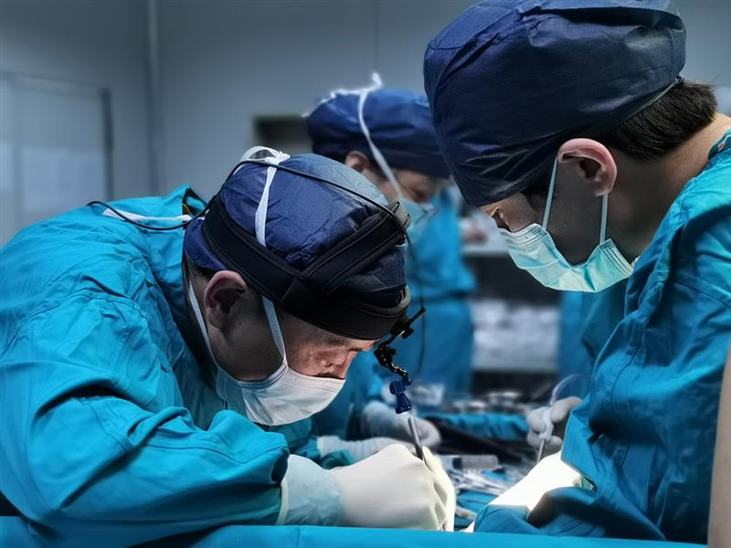 空军军医大学西京医院心血管外科主任刘金成（左一）与团队成员共同开展猪-猴异种心脏移植手术（6月13日摄）。新华社发（张懿楠 摄）