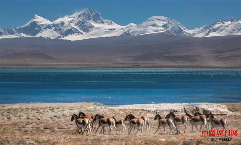 微信图片_20201228153634.png 微信图片_20201228153634.png