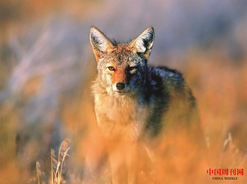 微信图片_20201228153638.png 微信图片_20201228153638.png