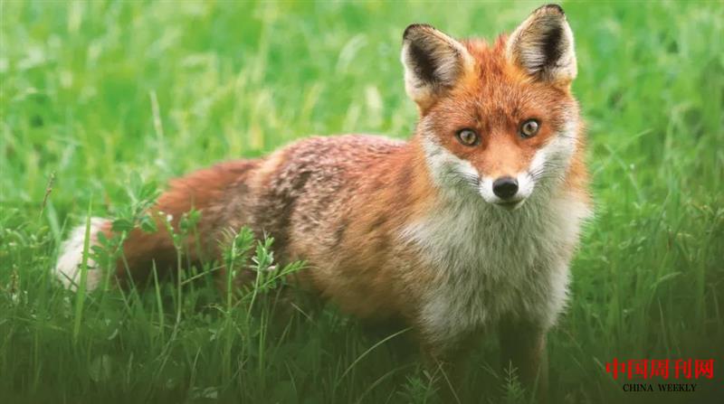 微信图片_20201228153642.jpg 微信图片_20201228153642.jpg