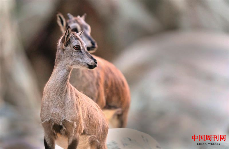 微信图片_20201228153645.png 微信图片_20201228153645.png