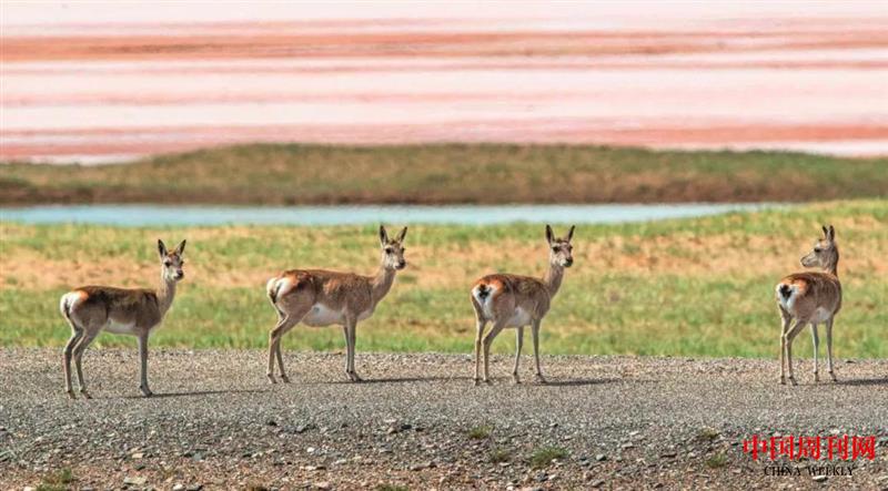 微信图片_20201228153649.jpg 微信图片_20201228153649.jpg