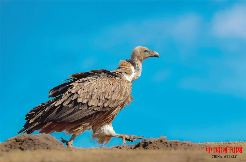 微信图片_20201228153654.png 微信图片_20201228153654.png