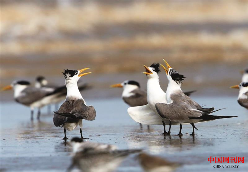 微信图片_20201228153700.png 微信图片_20201228153700.png