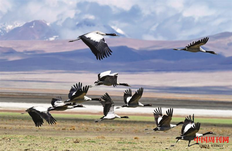 微信图片_20201228153704.png 微信图片_20201228153704.png