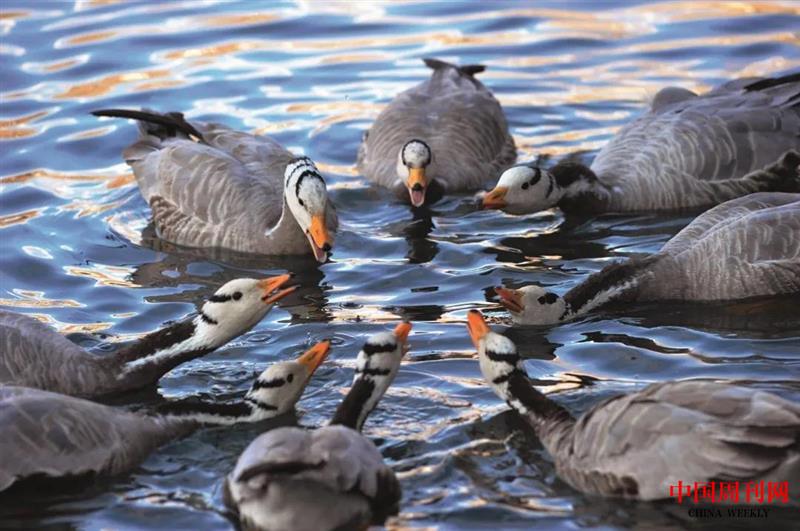 微信图片_20201228153708.jpg 微信图片_20201228153708.jpg