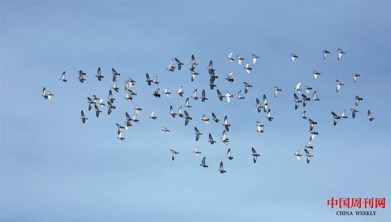 微信图片_20201228153713.png 微信图片_20201228153713.png