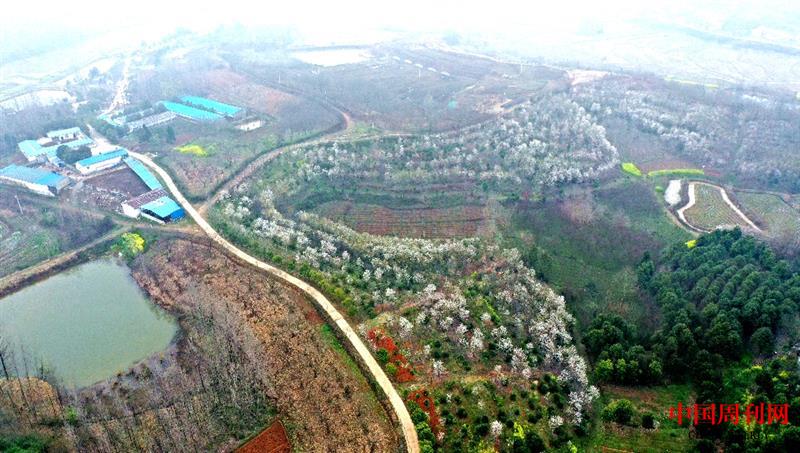 DJI_0649_副本.jpg DJI_0649_副本.jpg