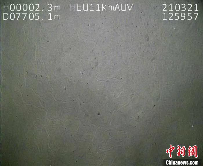 AUV在7705米海底拍摄到的沉积物图片。哈工程提供