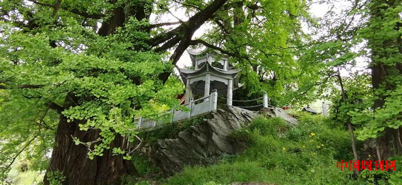 图片 7.png 图片 7.png