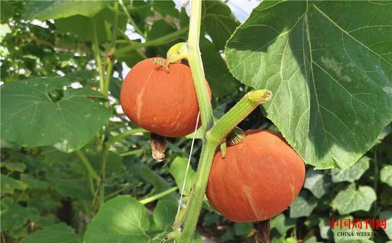 70d92ed74d4af027aa2f970dfeaf65e.jpg 70d92ed74d4af027aa2f970dfeaf65e.jpg