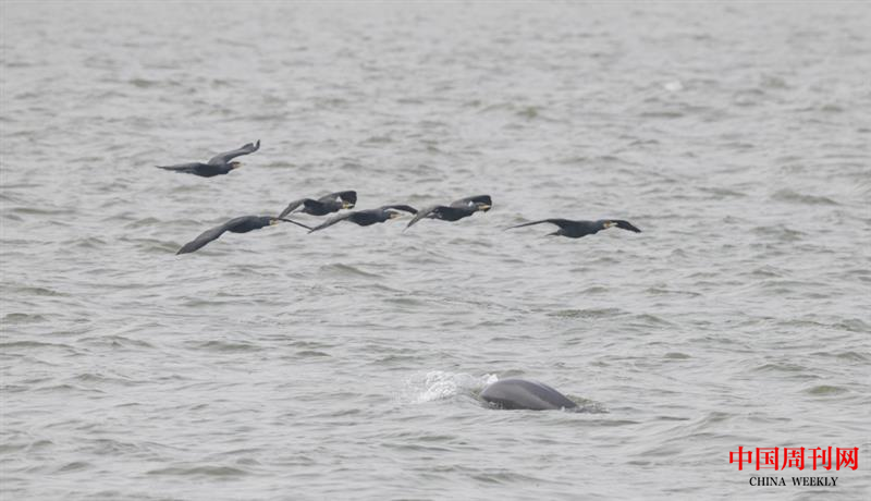 1649320915(1).png 1649320915(1).png