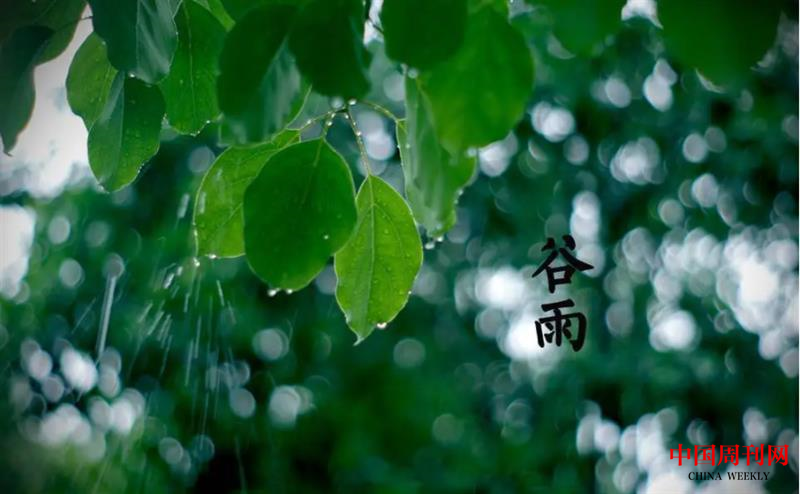 1650243602(1).png 1650243602(1).png