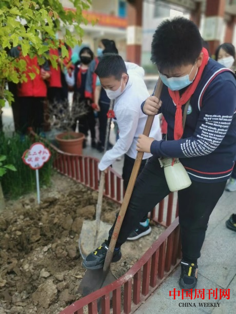 图片1.png 图片1.png