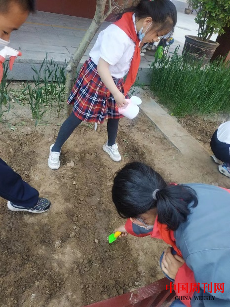 图片2.png 图片2.png