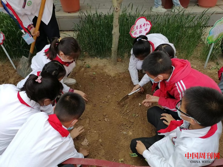 图片3.png 图片3.png