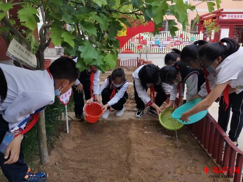 图片5.png 图片5.png