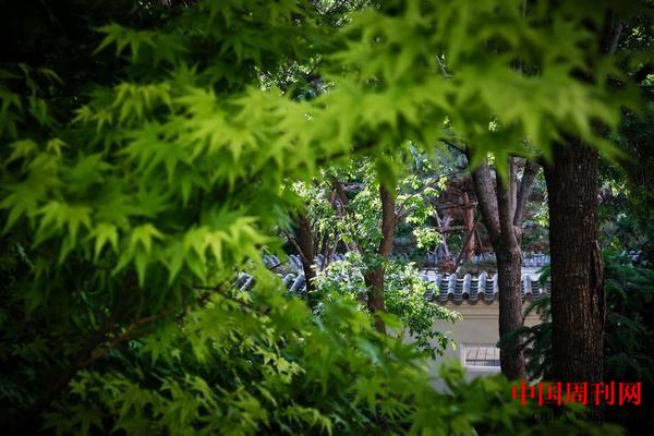 docx_30d66e27b60f48f8a095a10a757ff42c_0.jpeg docx_30d66e27b60f48f8a095a10a757ff42c_0.jpeg