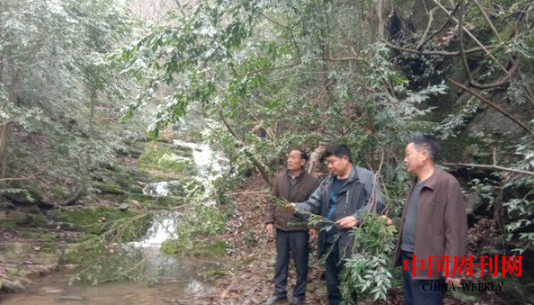 图片3.png 图片3.png