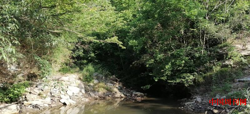 图片4.png 图片4.png