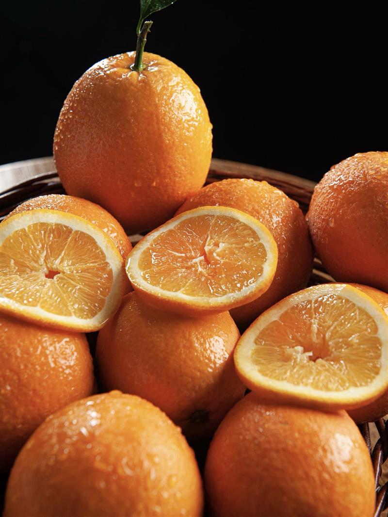 “郑渝高铁 畅游奉节”奉节文化旅游郑州专场推介会成功举行