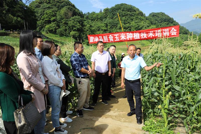 1660534535705195.png 图片3.png