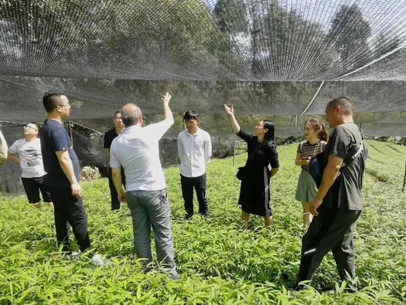 1660534504773790.png 图片2.png