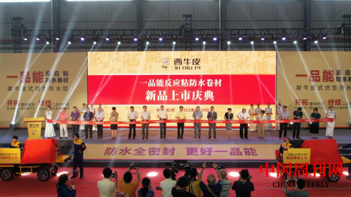 206602477.png 206602477.png