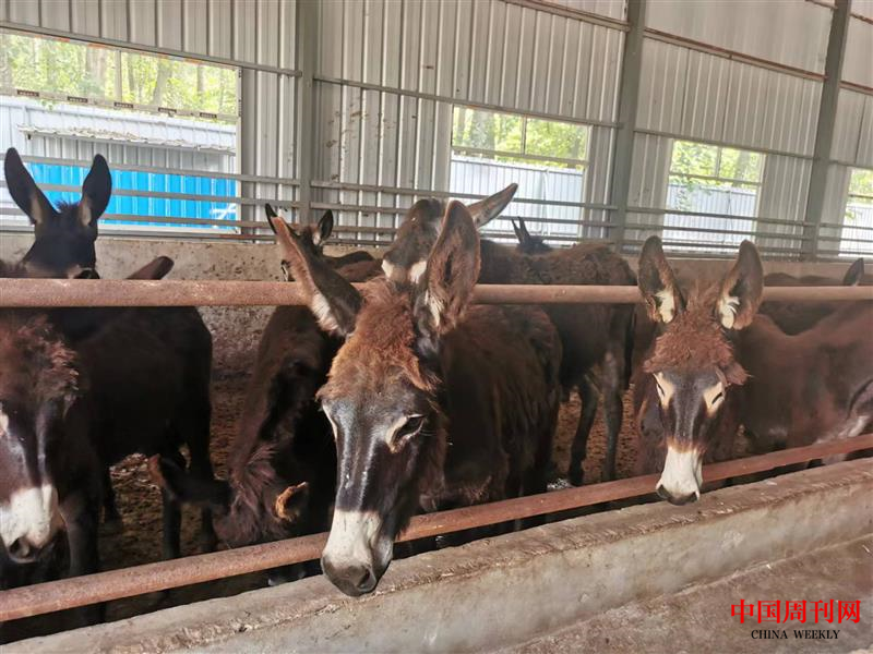 图片2.png 图片2.png