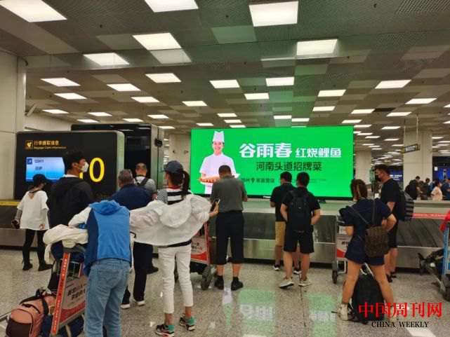 图片8.png 图片8.png