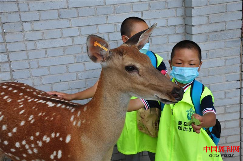 图片7.png 图片7.png