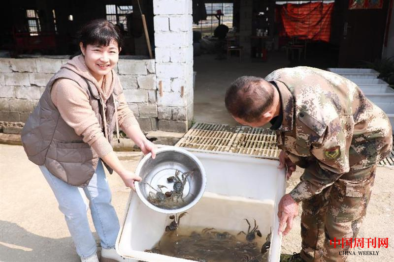 图片1.png 图片1.png