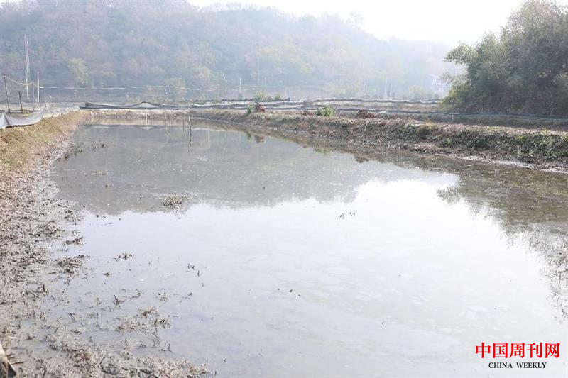 图片2.png 图片2.png