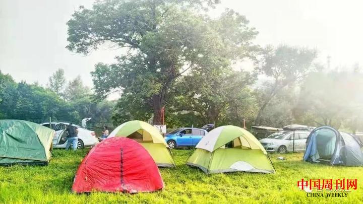 F1669620078568.jpeg F1669620078568.jpeg