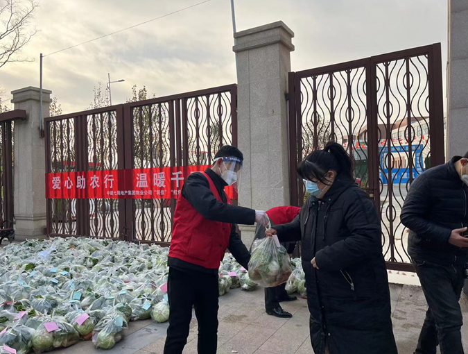 “关爱你我他(她) 温暖千万家”团团助农在行动—团郑州市委联合中建七局地产集团助农卖菜解难题 “关爱你我他(她) 温暖千万家”团团助农在行动—团郑州市委联合中建七局地产集团助农卖菜解难题