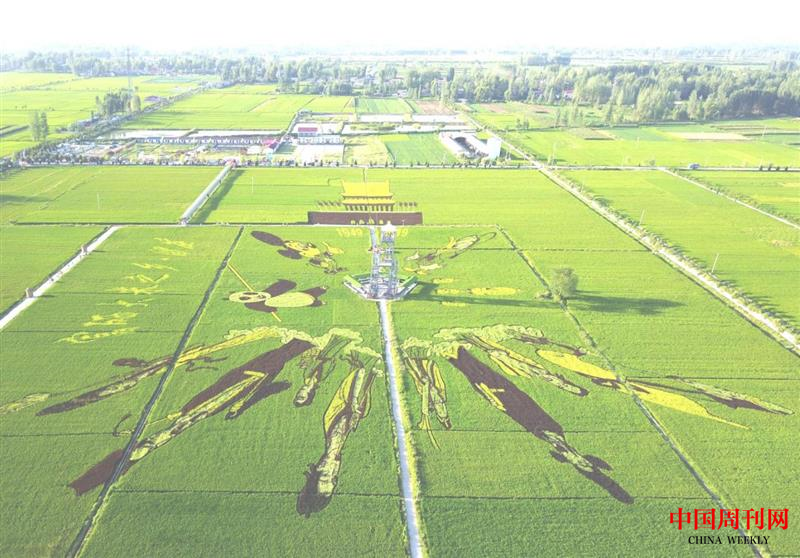 图片5.png 图片5.png