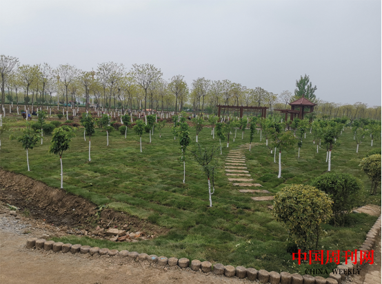 图片5.png 图片5.png