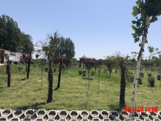 图片7.png 图片7.png