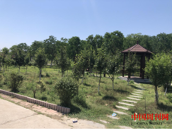 图片8.png 图片8.png