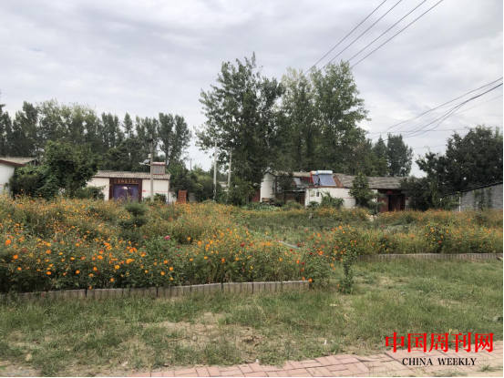 图片10.png 图片10.png