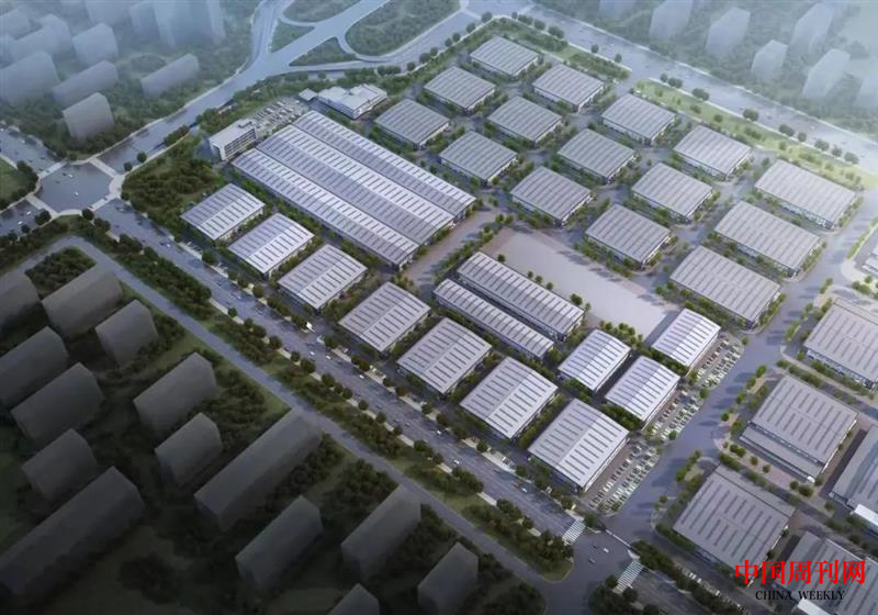 图片5.png 图片5.png