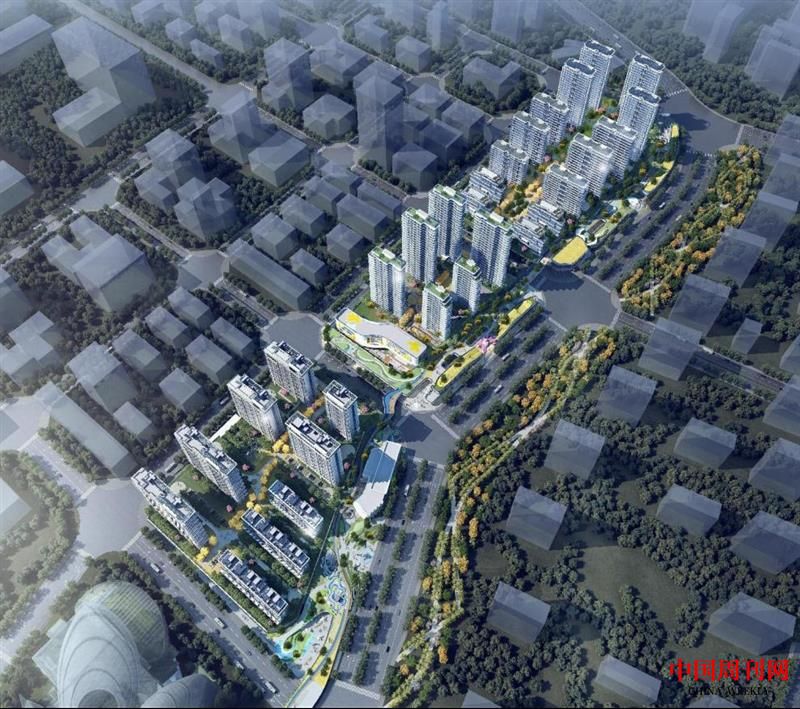 图片6.png 图片6.png