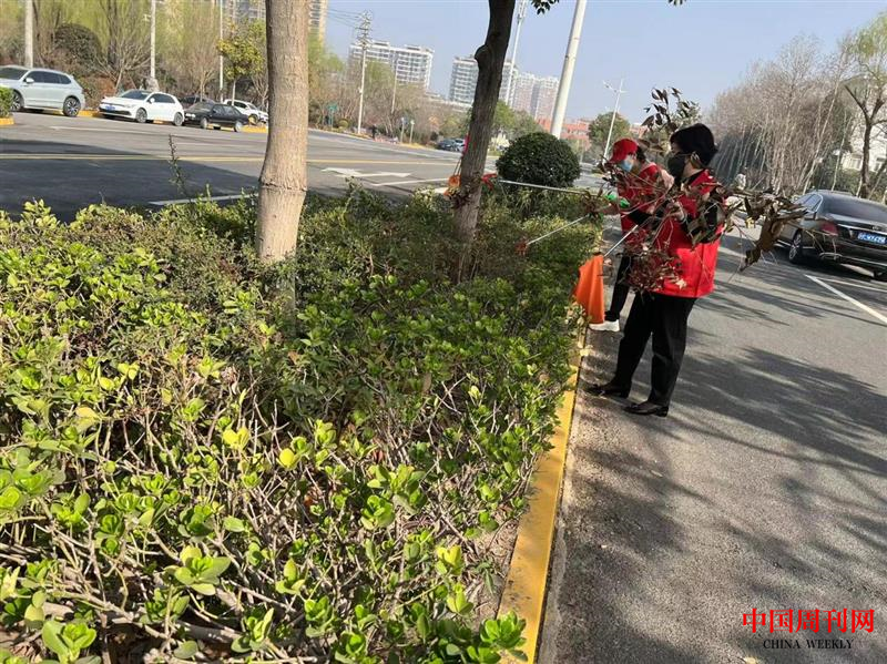 图片6.png 图片6.png