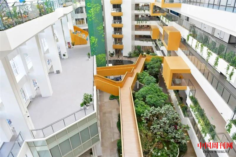 图片5.png 图片5.png