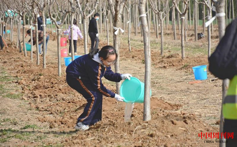 图片5.png 图片5.png