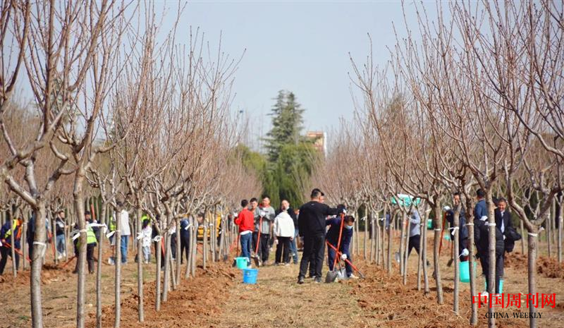 图片6.png 图片6.png